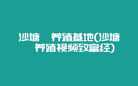 沙塘鳢养殖基地(沙塘鳢养殖视频致富经)-会东网