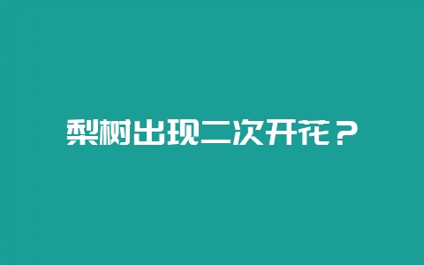 梨树出现二次开花？-会东网