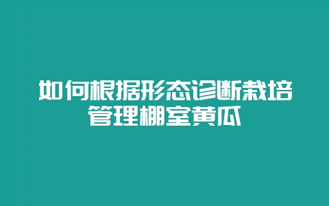 如何根据形态诊断栽培管理棚室黄瓜插图 如何根据形态诊断栽培管理棚室黄瓜插图