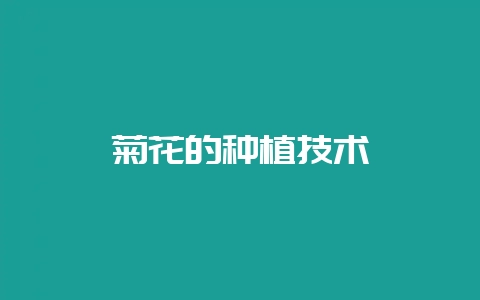 菊花的种植技术-会东网