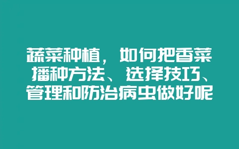 蔬菜种植，如何把香菜播种方法、选择技巧、管理和防治病虫做好呢？-会东网