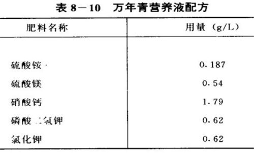 万年青水培方法介绍-会东网