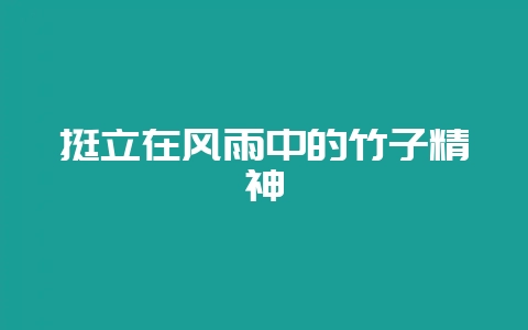 挺立在风雨中的竹子精神插图 挺立在风雨中的竹子精神插图