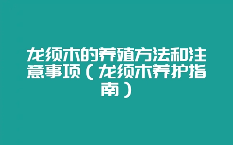 龙须木的养殖方法和注意事项（龙须木养护指南）-会东网