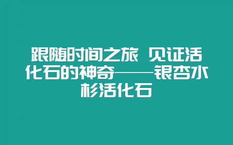 跟随时间之旅 见证活化石的神奇——银杏水杉活化石-会东网