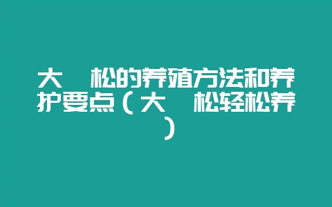 大阪松的养殖方法和养护要点（大阪松轻松养）-会东网