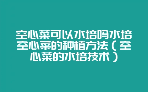 空心菜可以水培吗水培空心菜的种植方法（空心菜的水培技术）-会东网