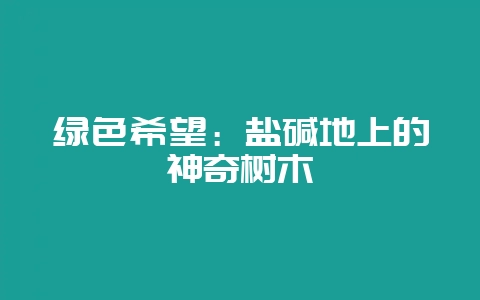 绿色希望：盐碱地上的神奇树木-会东网