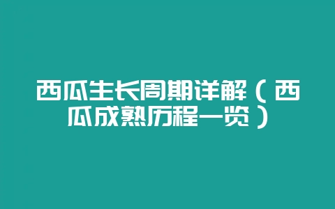 西瓜生长周期详解（西瓜成熟历程一览）-会东网
