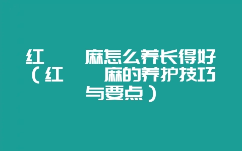 红萼苘麻怎么养长得好（红萼苘麻的养护技巧与要点）-会东网