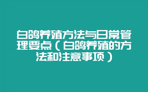 白鸽养殖方法与日常管理要点(白鸽养殖的方法和注意事项)-会东网