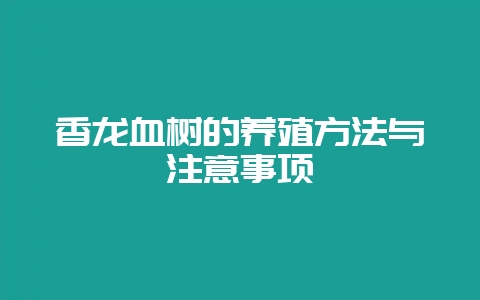 香龙血树的养殖方法与注意事项插图 香龙血树的养殖方法与注意事项插图