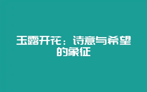 玉露开花：诗意与希望的象征-会东网