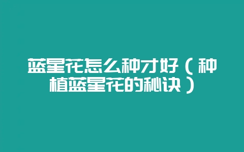 蓝星花怎么种才好（种植蓝星花的秘诀）-会东网