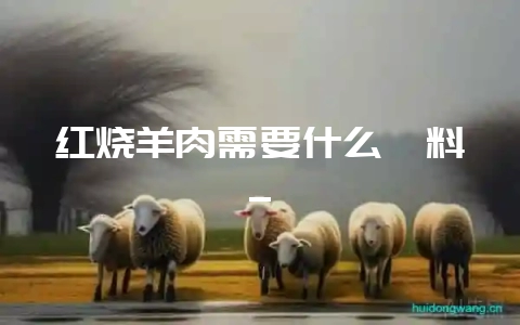 红烧羊肉需要什么佐料_插图 红烧羊肉需要什么佐料_插图