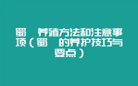 蜀桧养殖方法和注意事项（蜀桧的养护技巧与要点）-会东网