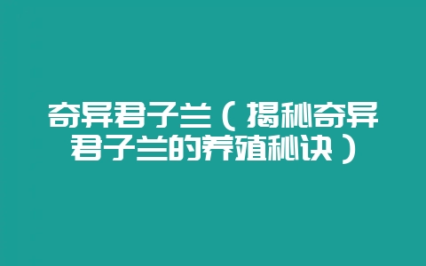 奇异君子兰（揭秘奇异君子兰的养殖秘诀）-会东网