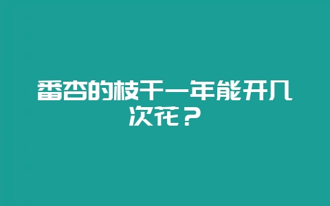 番杏的枝干一年能开几次花？-会东网
