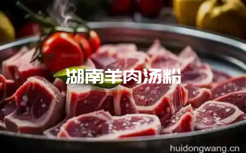 湖南羊肉汤粉-会东网