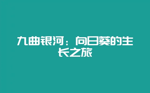 九曲银河：向日葵的生长之旅-会东网