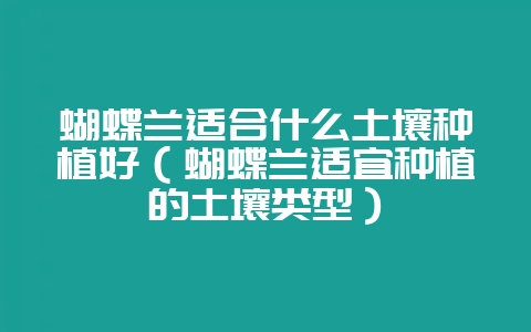 蝴蝶兰适合什么土壤种植好（蝴蝶兰适宜种植的土壤类型）-会东网