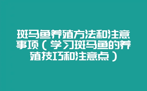 斑马鱼养殖方法和注意事项（学习斑马鱼的养殖技巧和注意点）-会东网