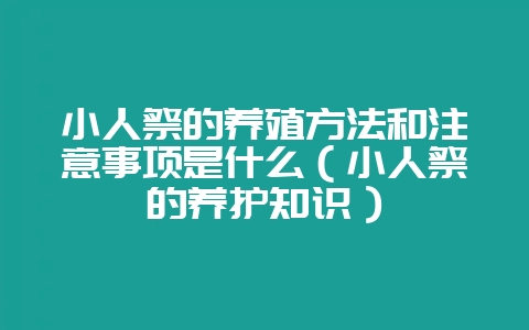 小人祭的养殖方法和注意事项是什么（小人祭的养护知识）-会东网