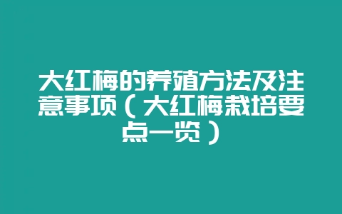 大红梅的养殖方法及注意事项（大红梅栽培要点一览）-会东网