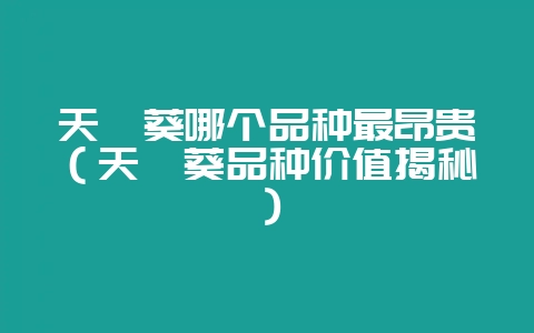 天竺葵哪个品种最昂贵(天竺葵品种价值揭秘)插图 天竺葵哪个品种最昂贵(天竺葵品种价值揭秘)插图
