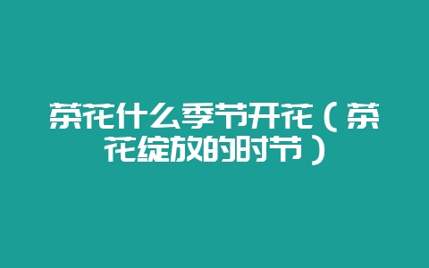 茶花什么季节开花（茶花绽放的时节）-会东网