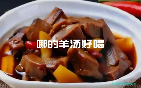 哪的羊汤好喝-会东网