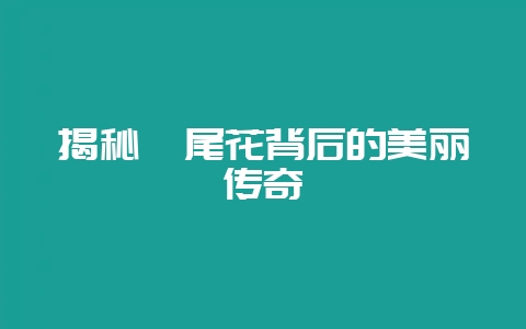 揭秘鸢尾花背后的美丽传奇插图 揭秘鸢尾花背后的美丽传奇插图