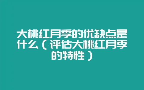 大桃红月季的优缺点是什么（评估大桃红月季的特性）-会东网