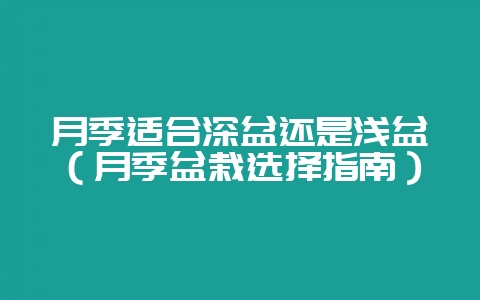 月季适合深盆还是浅盆（月季盆栽选择指南）-会东网
