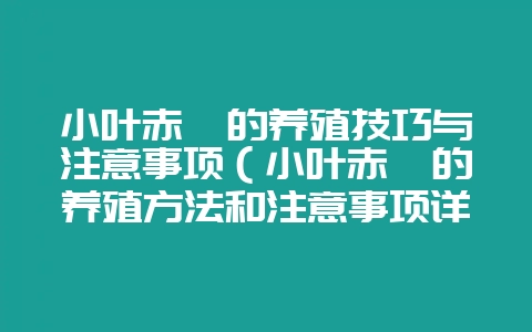 小叶赤楠的养殖技巧与注意事项（小叶赤楠的养殖方法和注意事项详-会东网