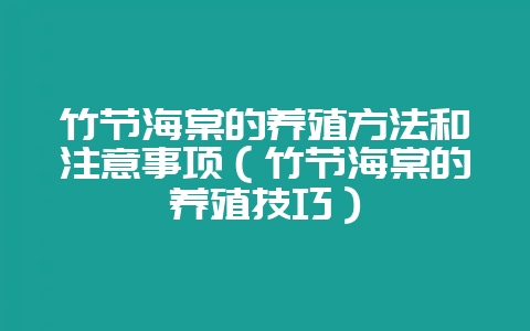 竹节海棠的养殖方法和注意事项（竹节海棠的养殖技巧）-会东网