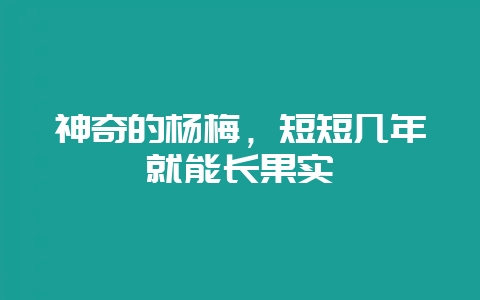 神奇的杨梅，短短几年就能长果实-会东网