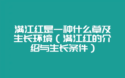 满江红是一种什么草及生长环境（满江红的介绍与生长条件）-会东网