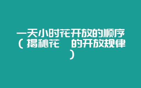 一天小时花开放的顺序（揭秘花卉的开放规律）-会东网