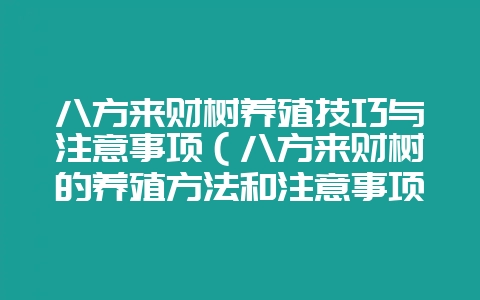 八方来财树养殖技巧与注意事项（八方来财树的养殖方法和注意事项-会东网