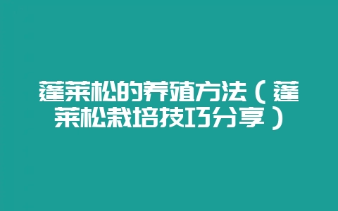 蓬莱松的养殖方法（蓬莱松栽培技巧分享）-会东网
