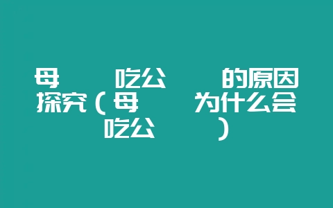 母螳螂吃公螳螂的原因探究（母螳螂为什么会吃公螳螂）-会东网