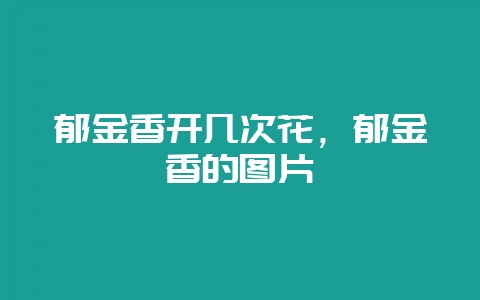 郁金香开几次花，郁金香的图片-会东网