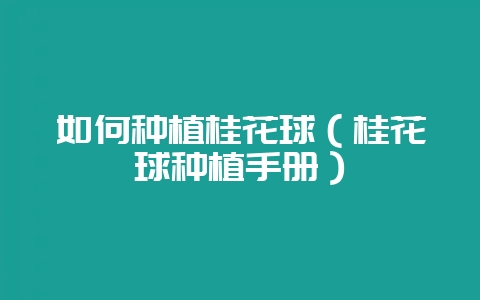 如何种植桂花球（桂花球种植手册）-会东网