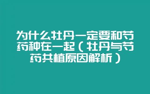 为什么牡丹一定要和芍药种在一起（牡丹与芍药共植原因解析）-会东网