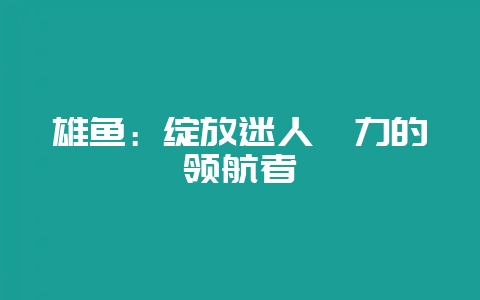 雄鱼：绽放迷人魅力的领航者-会东网