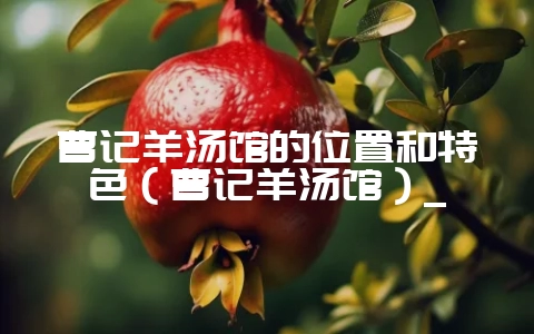 曹记羊汤馆的位置和特色（曹记羊汤馆）_-会东网