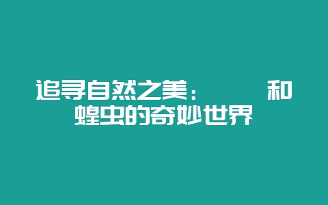 追寻自然之美：蚱蜢和蝗虫的奇妙世界-会东网