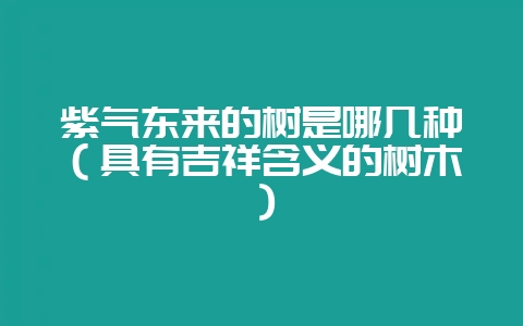 紫气东来的树是哪几种（具有吉祥含义的树木）-会东网