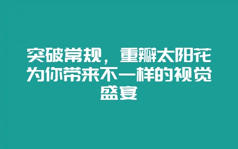突破常规，重瓣太阳花为你带来不一样的视觉盛宴-会东网